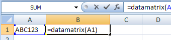 Data Matrix Excel macro