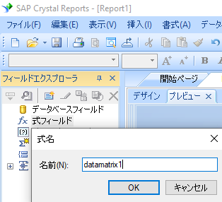 data-matrix 新規 式 crystal reports