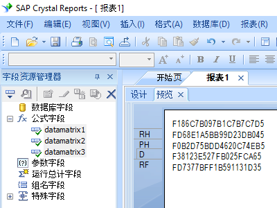 data matrix 水晶報表 公式 字段